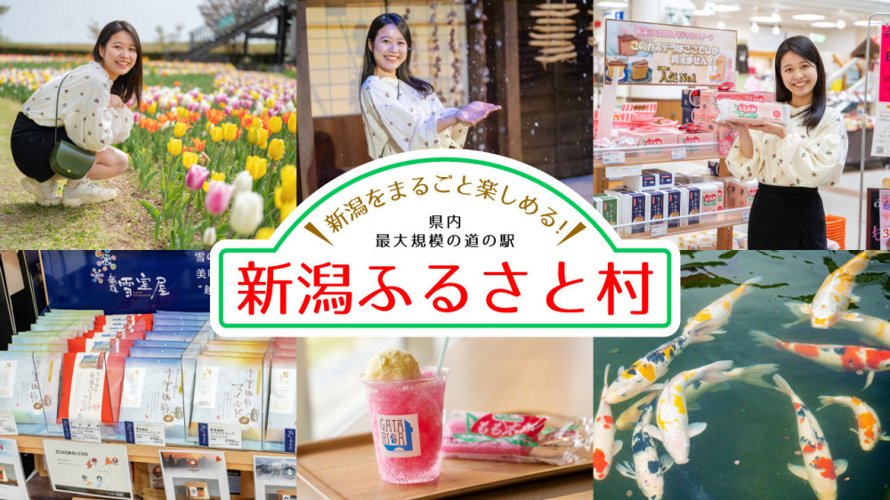 新潟をまるごと楽しめる！県内最大規模の道の駅「新潟ふるさと村」