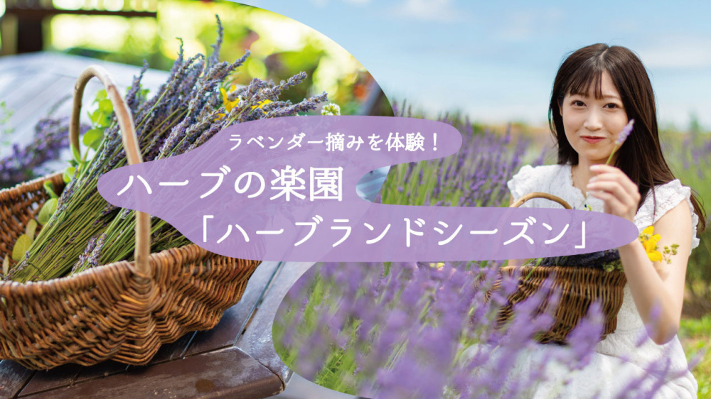 ラベンダー摘みを体験！ハーブの楽園「ハーブランドシーズン 」