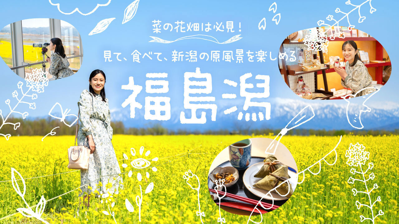 菜の花畑は必見！見て、食べて、新潟の原風景を楽しめる「福島潟」