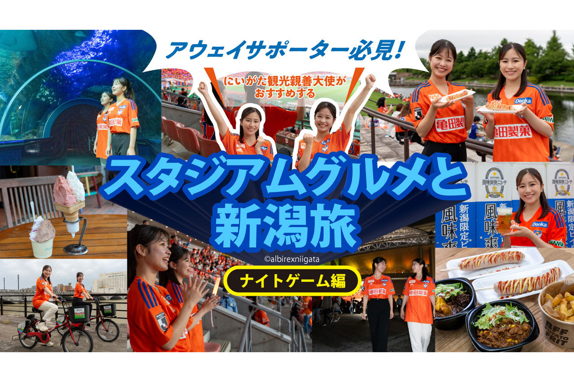 アウェイサポーター必見！にいがた観光親善大使がおすすめするスタジアムグルメと新潟旅【ナイトゲーム編】