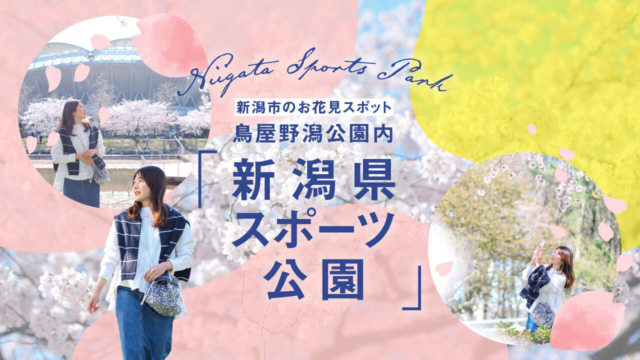 新潟市のお花見スポット 鳥屋野潟公園内「新潟県スポーツ公園」