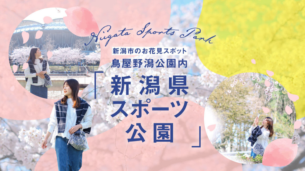 新潟市のお花見スポット 鳥屋野潟公園内「新潟県スポーツ公園」