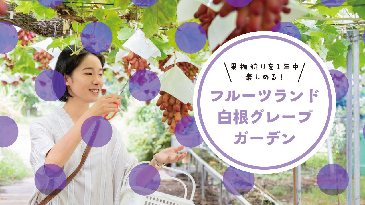 果物狩りを1年中楽しめる！「フルーツランド白根グレープガーデン」