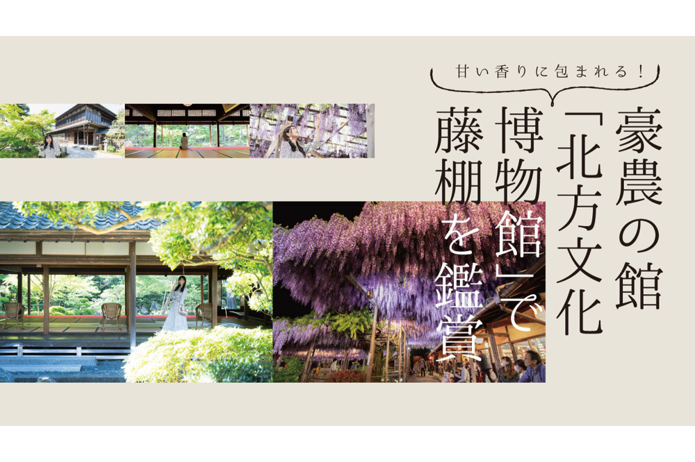 甘い香りに包まれる！豪農の館「北方文化博物館」で藤棚を鑑賞 | 新潟市公式観光情報サイト - 旅のしおり