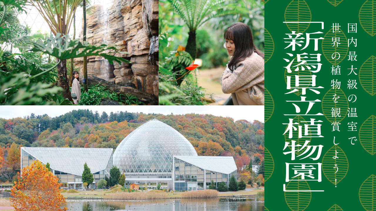 国内最大級の温室で世界の植物を観賞しよう！「新潟県立植物園」