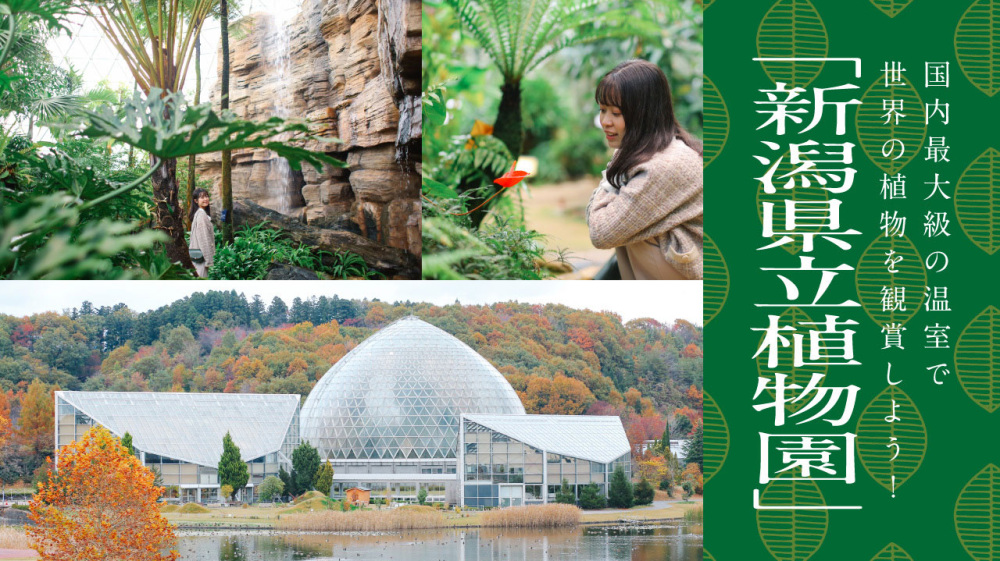 国内最大級の温室で世界の植物を観賞しよう！「新潟県立植物園」