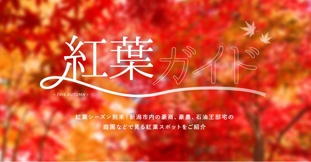 【2025年】もみじが赤く染まる紅葉シーズン！新潟市内のおすすめ紅葉スポットのご紹介！