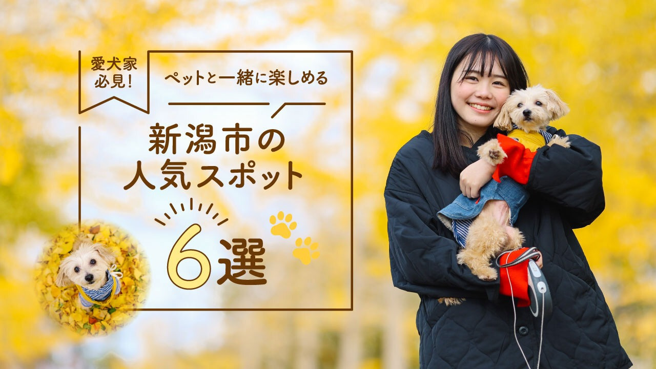 愛犬家必見！ペットと一緒に楽しめる新潟市の人気スポット6選