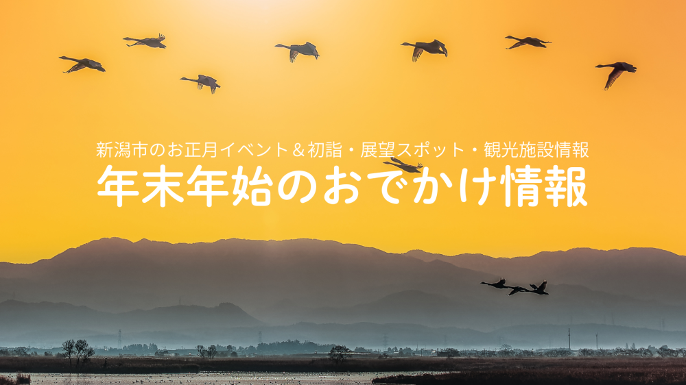 【2025-2026年】新潟市の年末年始おでかけ情報をご紹介！