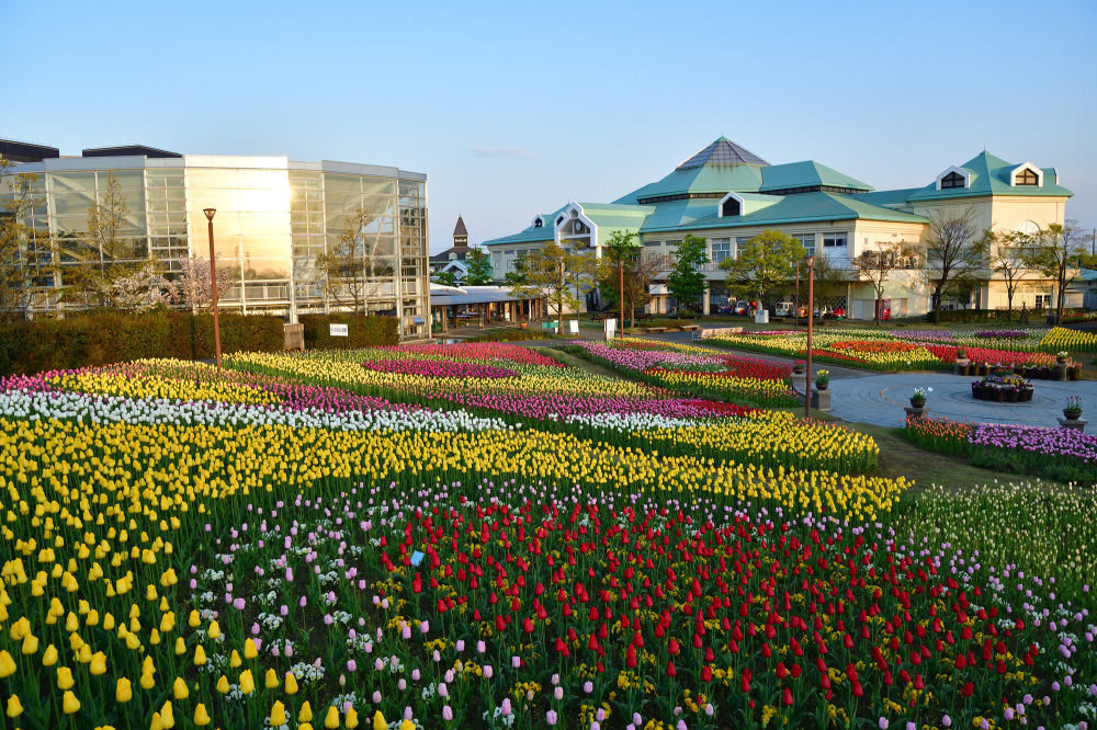新潟ふるさと村