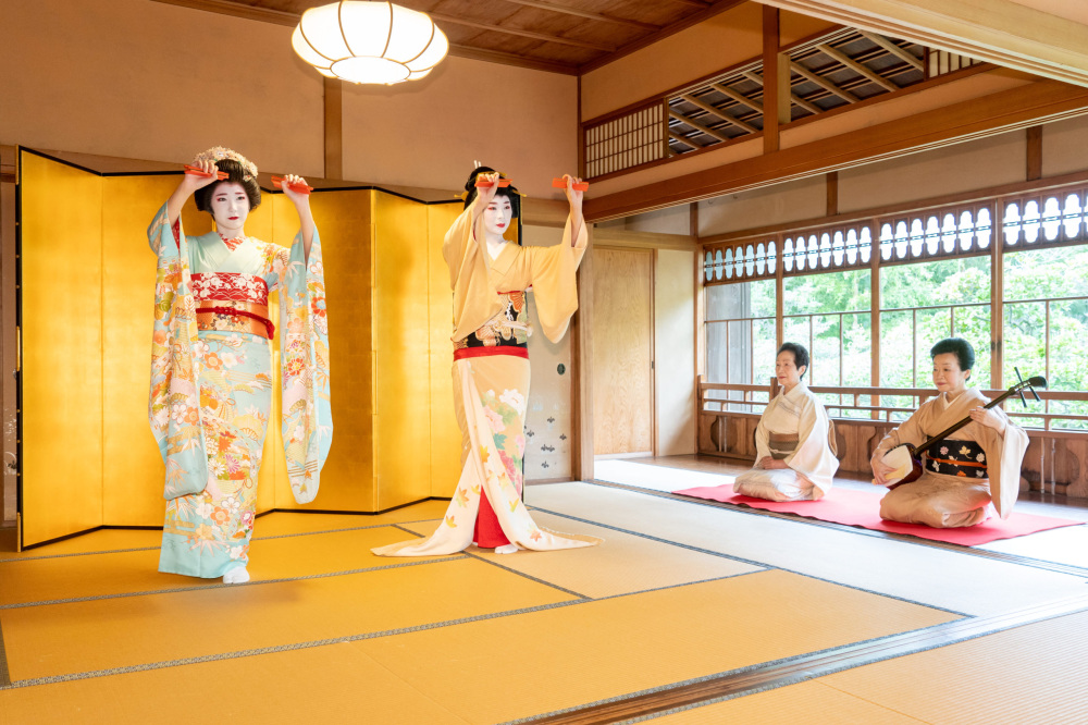 新潟古町芸妓イメージ(2)