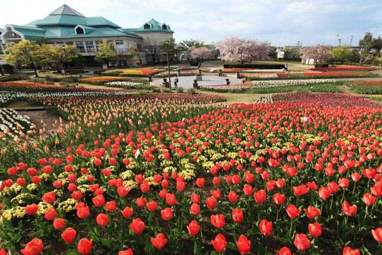 道の駅　新潟ふるさと村