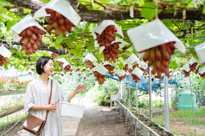 [ Undefined: coursed-title-plain ]