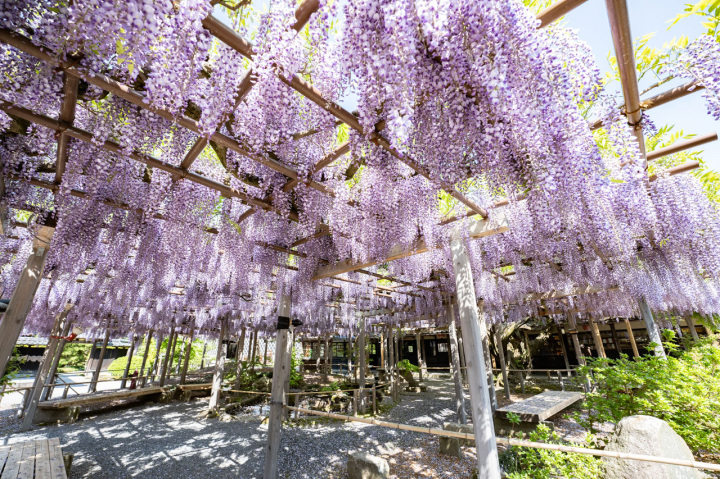 [ Undefined: coursed-title-plain ]