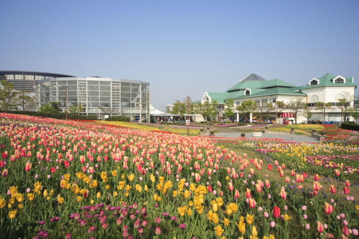 [ Undefined: coursed-title-plain ]