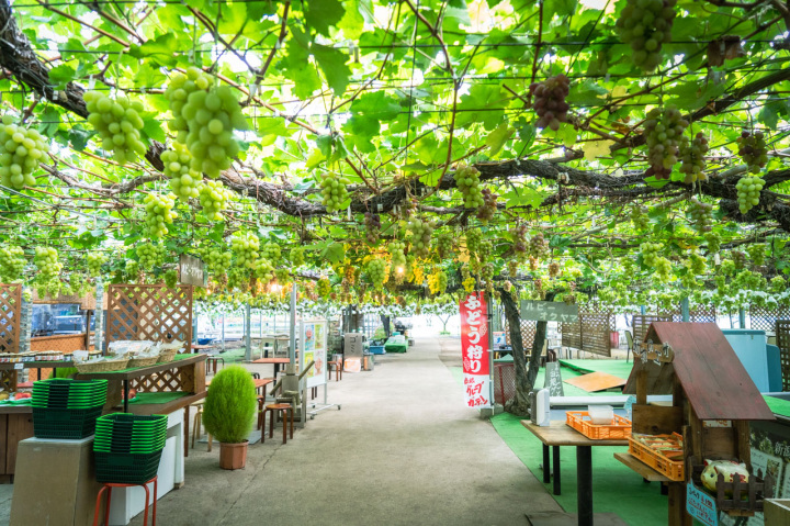 [ Undefined: coursed-title-plain ]