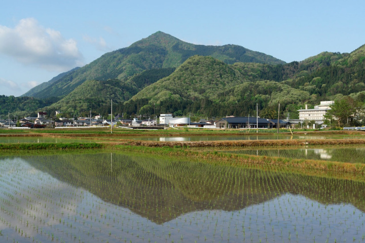 [ Undefined: coursed-title-plain ]