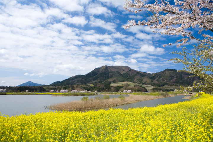 [ Undefined: coursed-title-plain ]