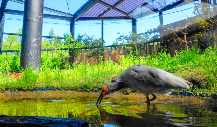 [ Undefined: coursed-title-plain ]