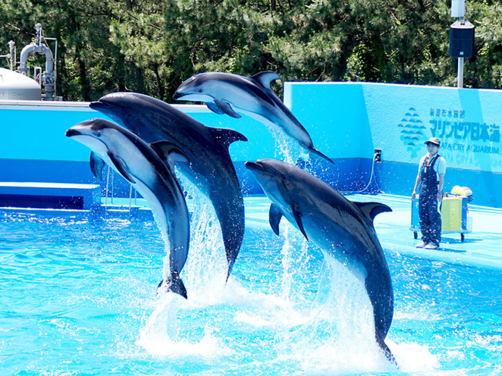 [ Undefined: coursed-title-plain ]