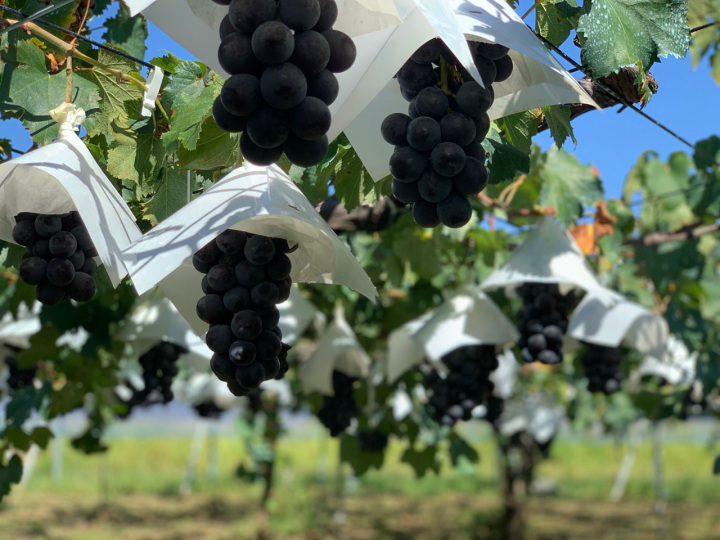 [ Undefined: coursed-title-plain ]