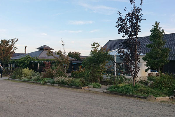 カーブドッチワイナリー