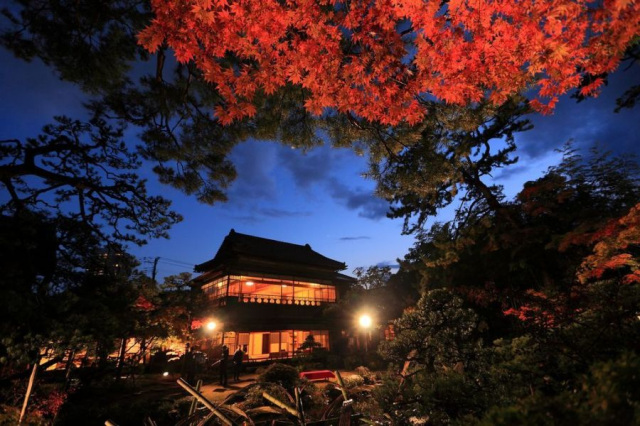 【秋】旧齋藤家別邸、中野邸記念館（紅葉ライトアップ）