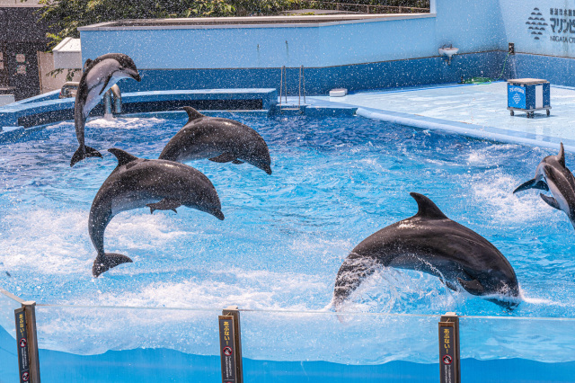 新潟市水族館 マリンピア日本海