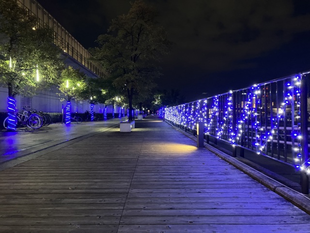 万代島光の航路1マイルVoyage2025