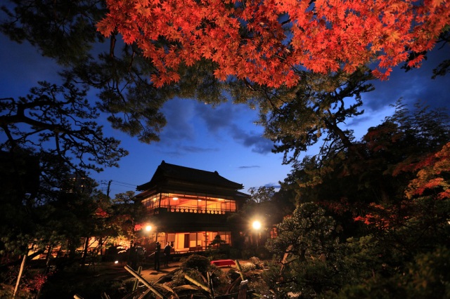 旧齋藤家別邸 紅葉ライトアップ
