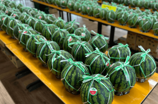 新潟市西区「新潟すいかまつり」