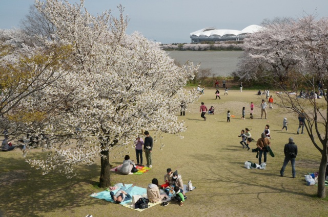 鳥屋野潟公園女池地区
