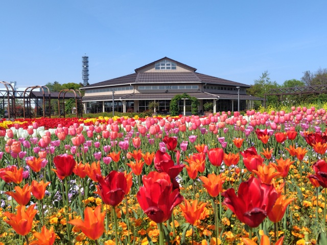 いくとぴあ食花