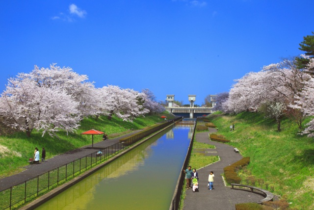 桜遊歩道公園