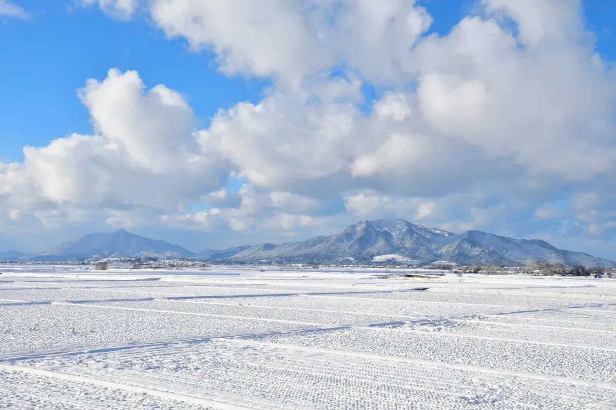 雪に覆われる冬の角田山