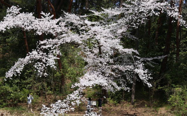 じゅんさい池公園