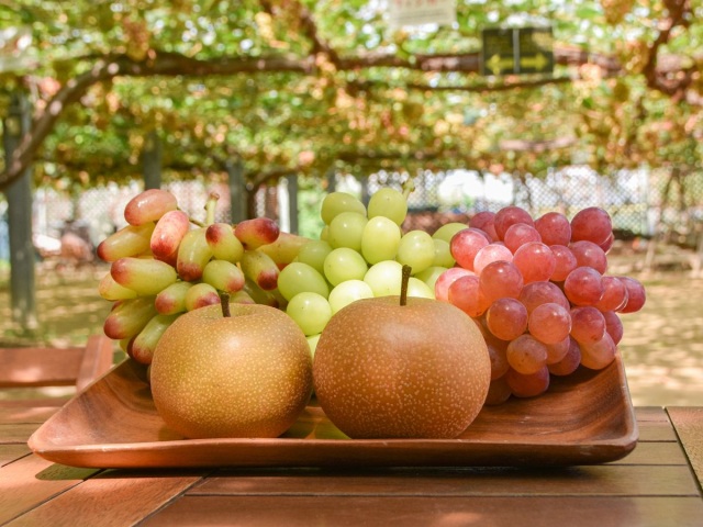 フルーツ童夢やまだ農園