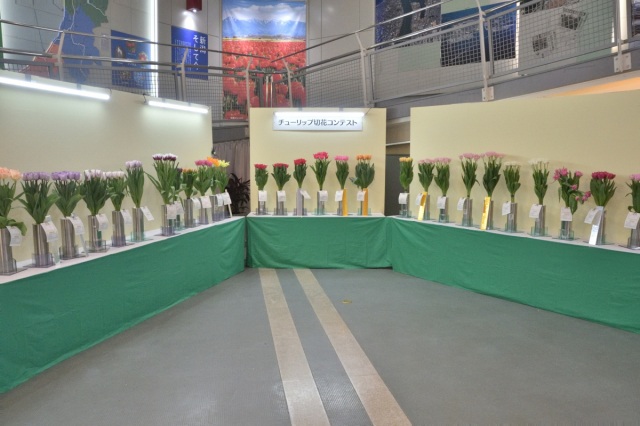 フラワーウェーブ新潟2025