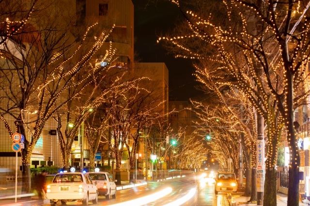 2025NIIGATA光のページェント