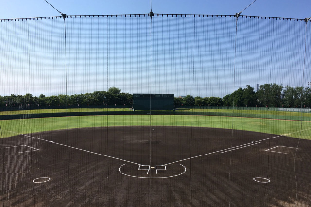 鳥屋野運動公園野球場