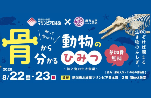 【マリンピア日本海】触って学ぼう!骨から分かる動物のひみつ