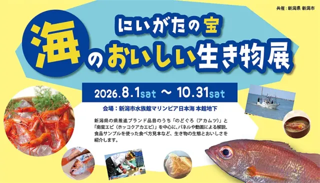 【マリンピア日本海 企画展示】にいがたの宝　海のおいしい生…
