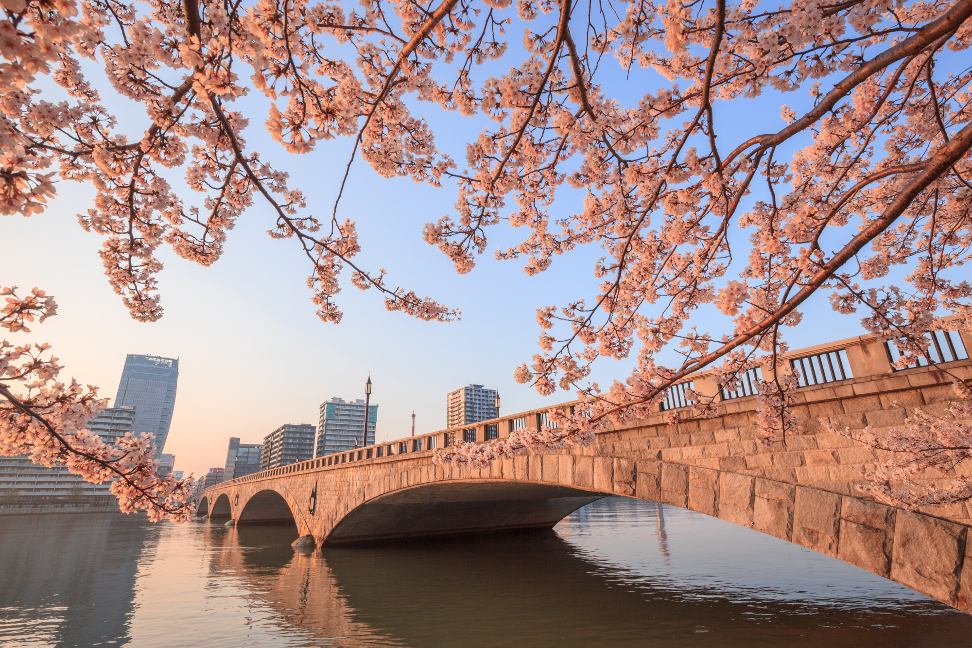 信濃川に架かる橋、新潟市のシンボル