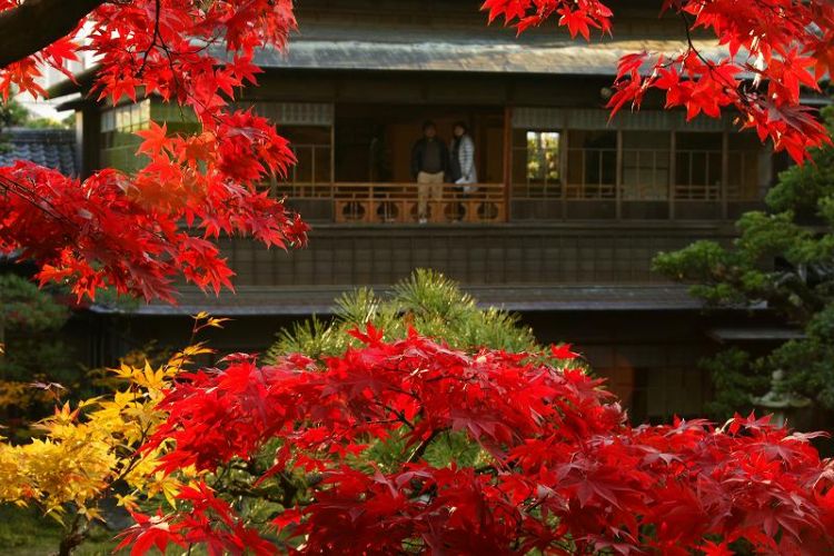 21年 もみじが赤く染まる紅葉シーズン 新潟市内のおすすめ紅葉スポットのご紹介 旅のしおり